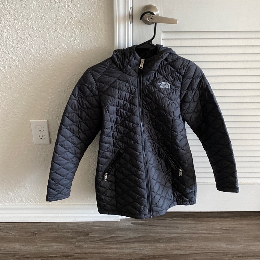 The north face puffer coat